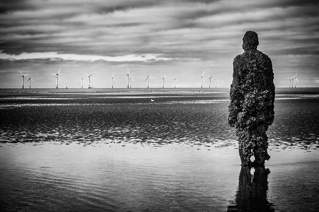Contemplation