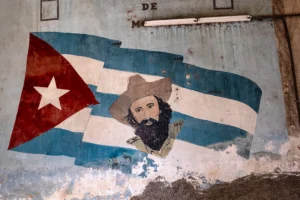 Fidelflaggraf