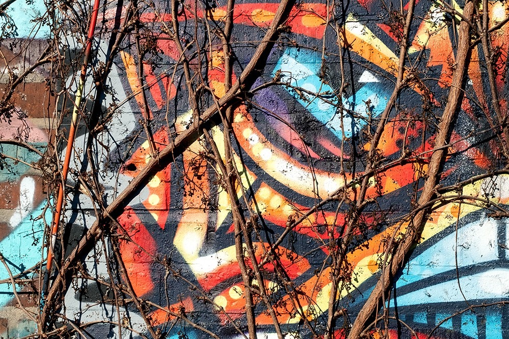 Organic Graffiti Thumb New Website