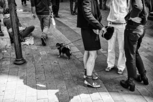 baganddog