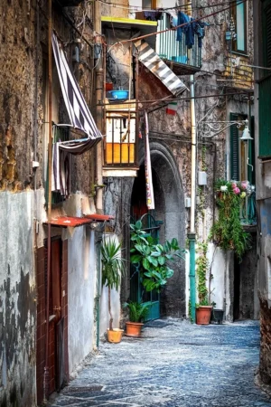floweralley