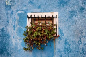 flowerwall