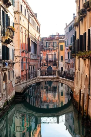 ovalreflections