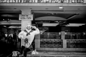 seagullsalute