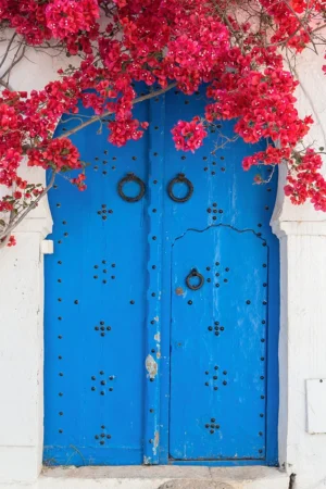 tunisiandoor